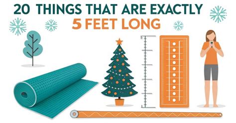 15 Common Things That Are 5 Feet Long