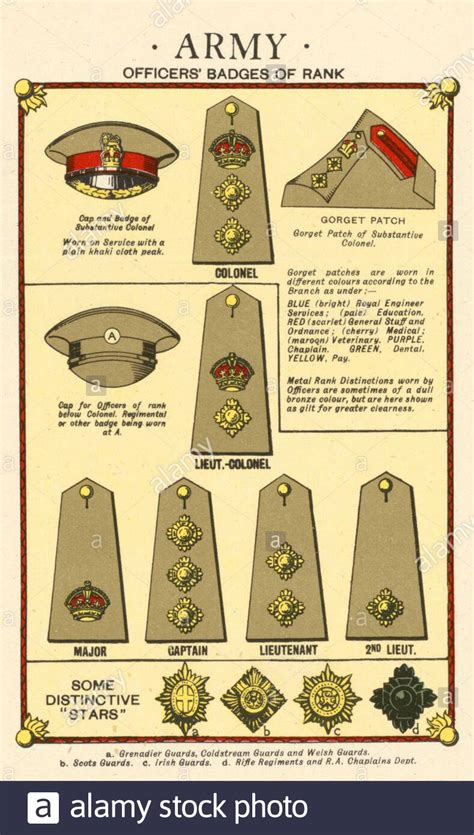 A Cool Guide To British Officer Ranks In Ww2 R Coolguides