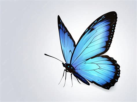 A Drawing Of A Butterfly That Is Drawn In Blue Ink On White Paper With