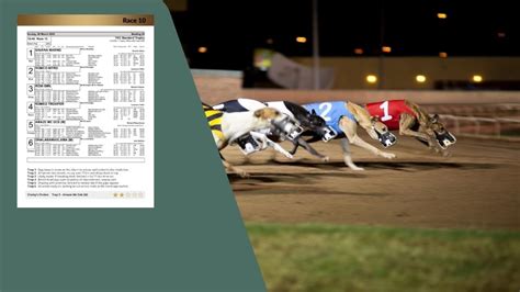 Discount Dog Racing Result Today Factory Sale Greyhound Racing Results Form Betting Tips Timeform