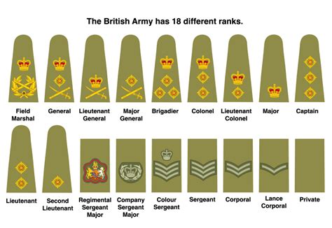 Do We Need To Simplify The Rank Structures Of Uk Armed Forces Uk Land Power