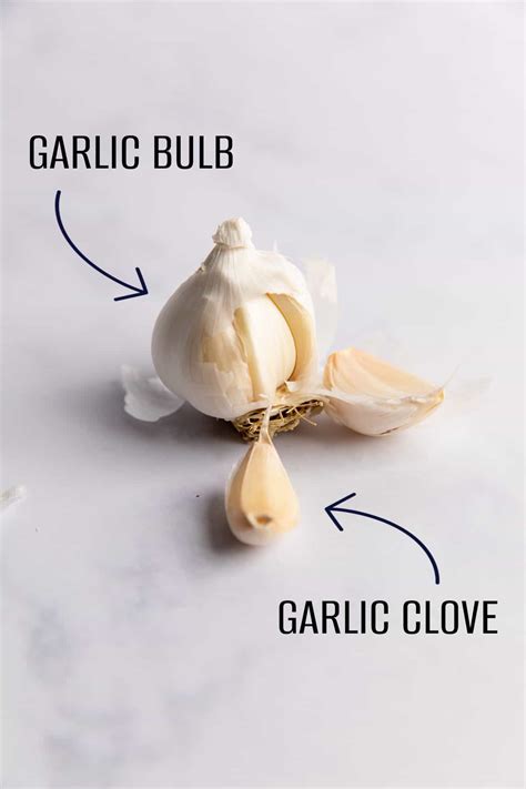 How Much Is A Clove Of Garlic Savor Savvy