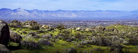 Picture Framing Ridgecrest Ca At Dale Mack Blog
