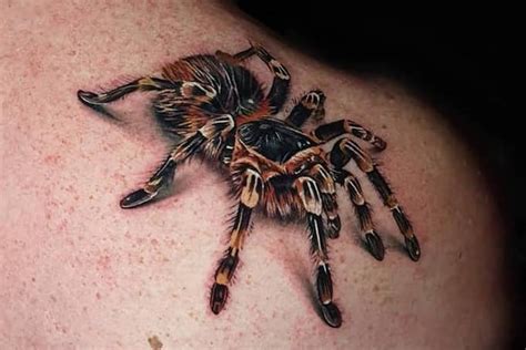 Tarantula Spider Tattoo