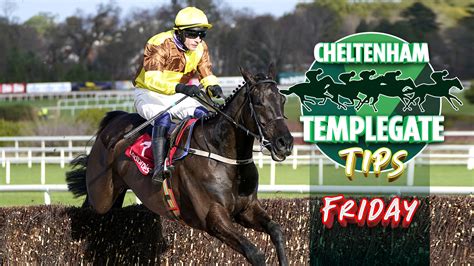 Templegate Tips Today Tomorrow At Cheltenham
