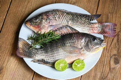 Tilapia Fresh Pricesmart Foods