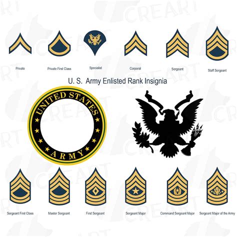 Us Army Enlisted Rank Insignia Collection Military Frame Clip Art Pack United States Armed Forces Clip Art Vector Png Svg Eps Files Etsy
